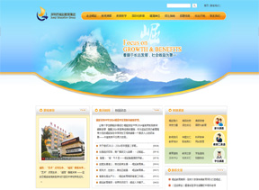 崛起教育集团网站建设