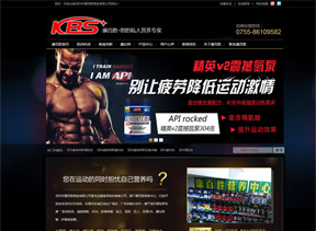 康百胜商贸网站优化建设